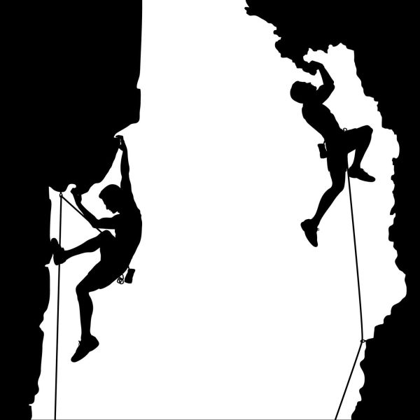 Basecamp Level - Learn business basics For entrepreneurs & new businesses